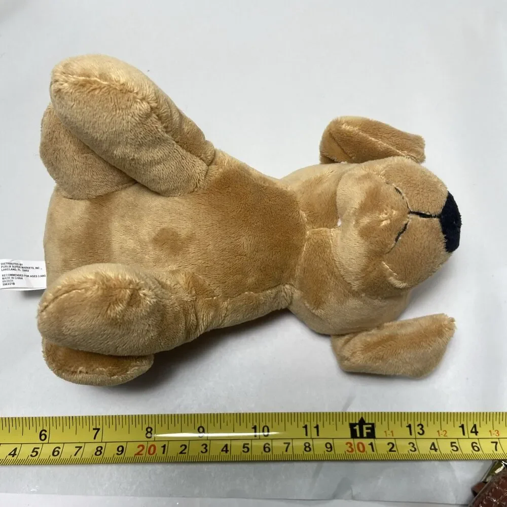 Publix Brown Puppy Plush Dog Tan Brown Eyes Sitting 7.5 Inch 2021 Doggy